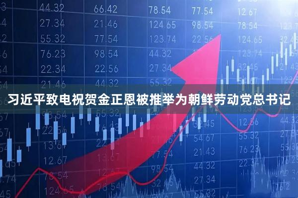 习近平致电祝贺金正恩被推举为朝鲜劳动党总书记