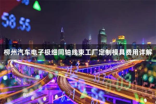 柳州汽车电子极细同轴线束工厂定制模具费用详解
