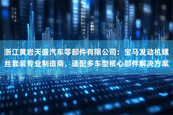 浙江黄岩天盛汽车零部件有限公司：宝马发动机螺丝套装专业制造商，适配多车型核心部件解决方案