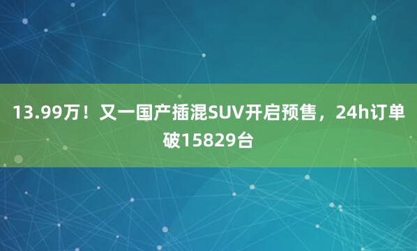 13.99万！又一国产插混SUV开启预售，24h订单破15829台